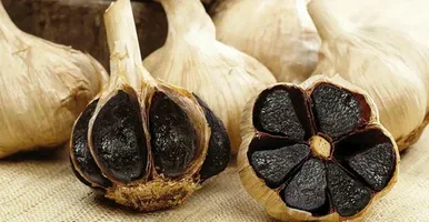 تصویر 1 از سیر سیاه کبابی ستاره دخت + با کیفیت طعم ماندگار